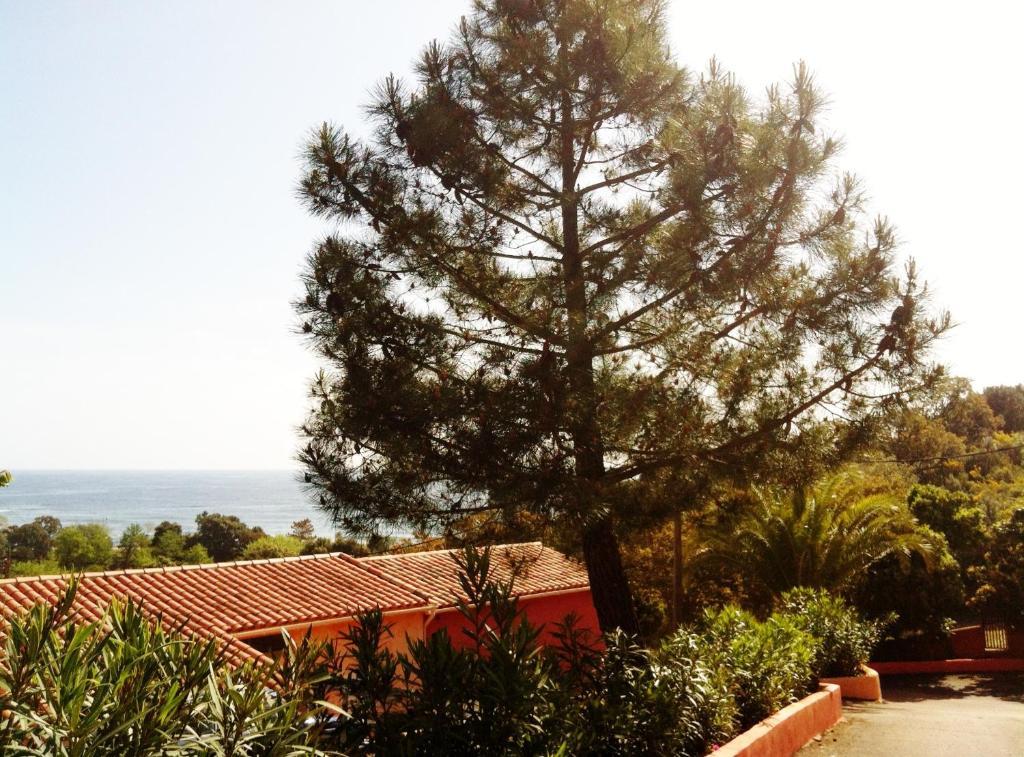 Hotel Residence San Pieru Tarcu Exteriér fotografie