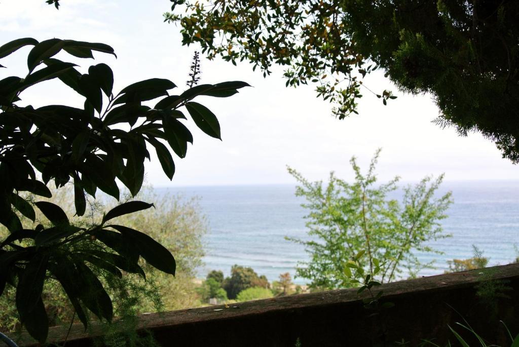 Hotel Residence San Pieru Tarcu Exteriér fotografie