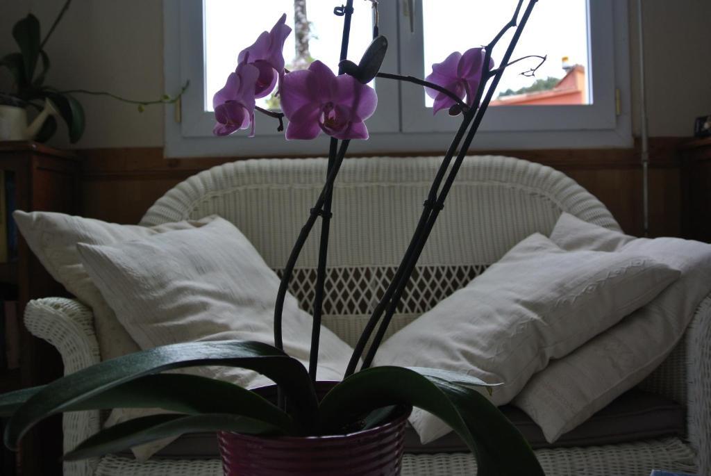 Hotel Residence San Pieru Tarcu Pokoj fotografie