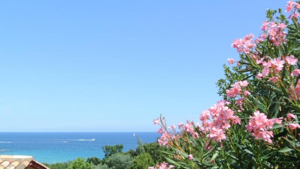 Hotel Residence San Pieru Tarcu Pokoj fotografie